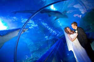 AQWA Perth Wedding Venue