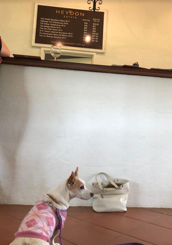 Heydon Estate Dog Friendly Winery