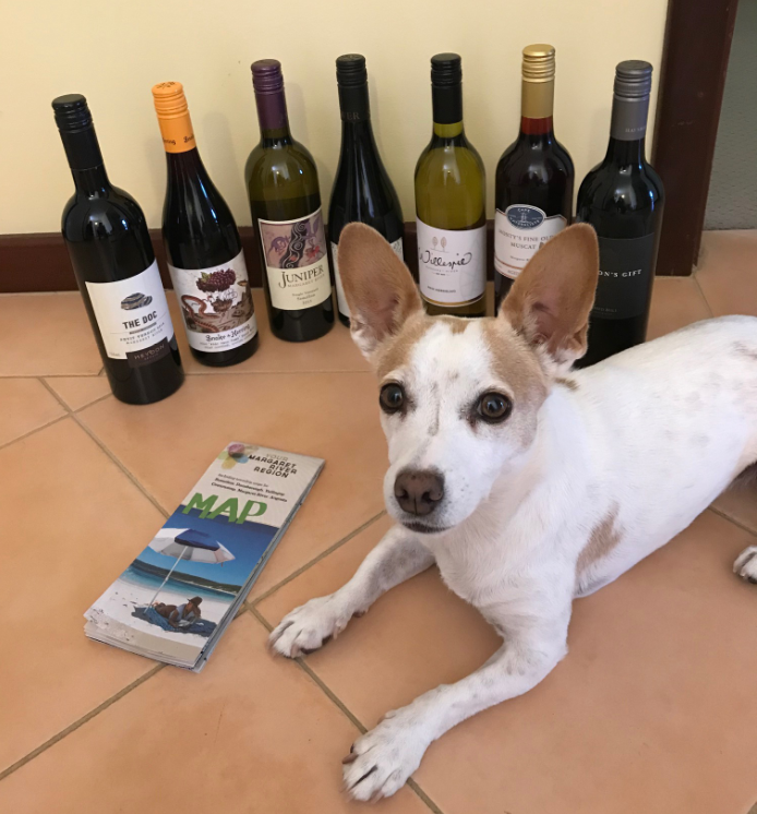 Margaret River Winery Tours, Dog Friendly