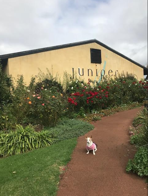 Juniper Estate Dog Friendly Winery